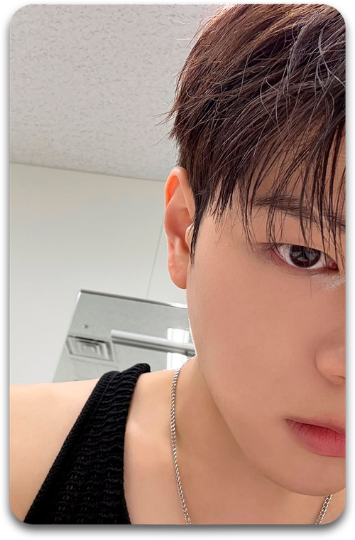 Карта / STRAY KIDS #3541