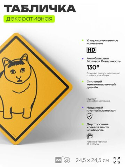 Табличка мем "Кот мяукает и кивает" шуточная прикольная табличка на дверь и стену, для офиса и дома, декоративный знак, 24,5х24,5 см, пластиковая, Айдентика Технолоджи