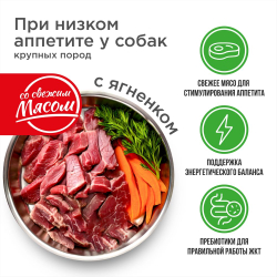 Корм сухой для взрослых собак крупных пород, премиум полнорационный комплекс, для собак с низким аппетитом, с ягненком, 2,5 кг, QUATTRO