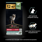 Сухой корм PRO PLAN SENSITIVE DIGESTION для щенков средних пород с чувствительным пищеварением ягненок 12 кг