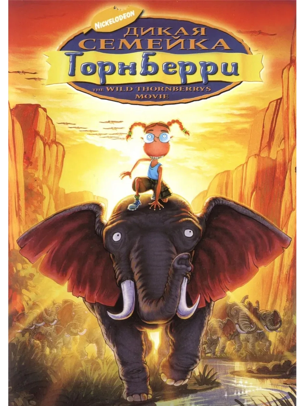 Дикая семейка Торнберри (2002) (КИНО USB)