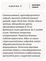 Семена огурцов Кибрия F1, 7 семян (Vita Green / Вита Грин)