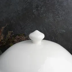 Супница 7 л d 25,5 см h25 см белая фарфор P.L. Proff Cuisine [1]