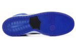 Кроссовки Nike Dunk Sb J Pack Royal