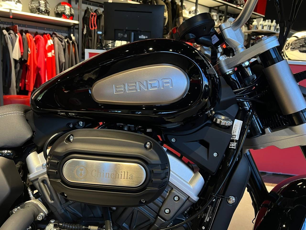 Benda Chinchilla 300, 2024