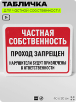 Табличка для частной территории "Частная собственность, проход запрещен", на дом, для участка, организаций, предупреждающая, 40х30 см, Silver Plane x Айдентика Технолоджи