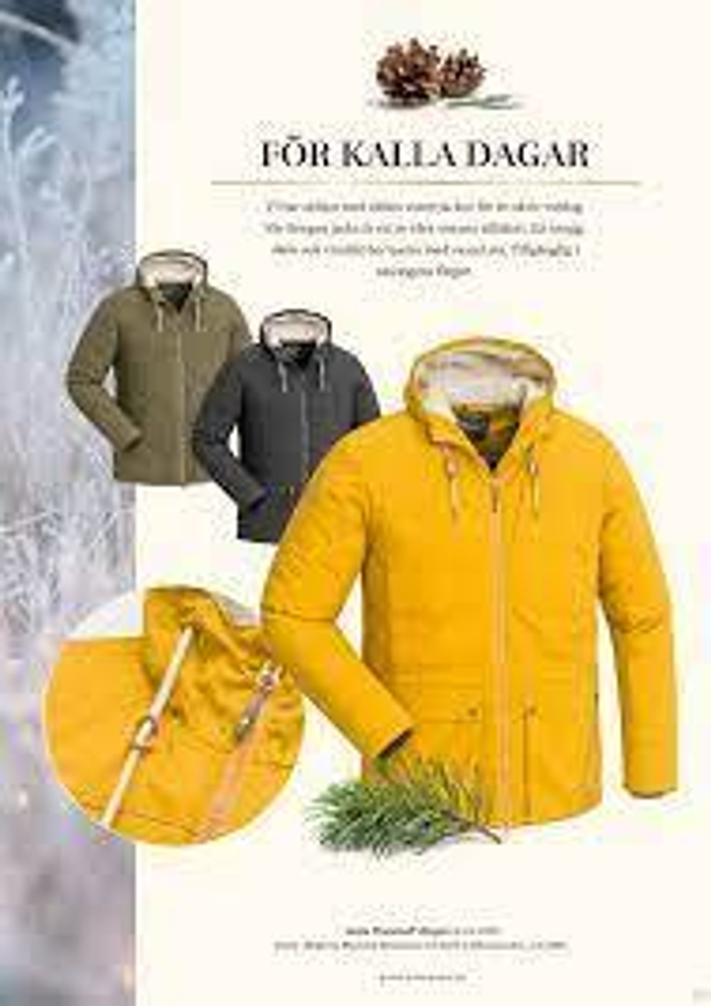 Зимняя куртка Pinewood BORGAN JACKET , артикул 5030, цвет Горчичный (580)