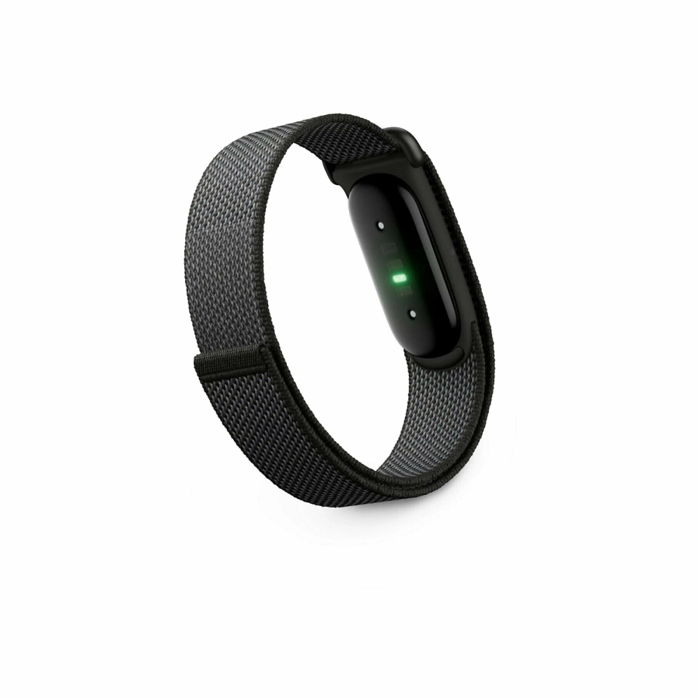 Google Fitbit Air