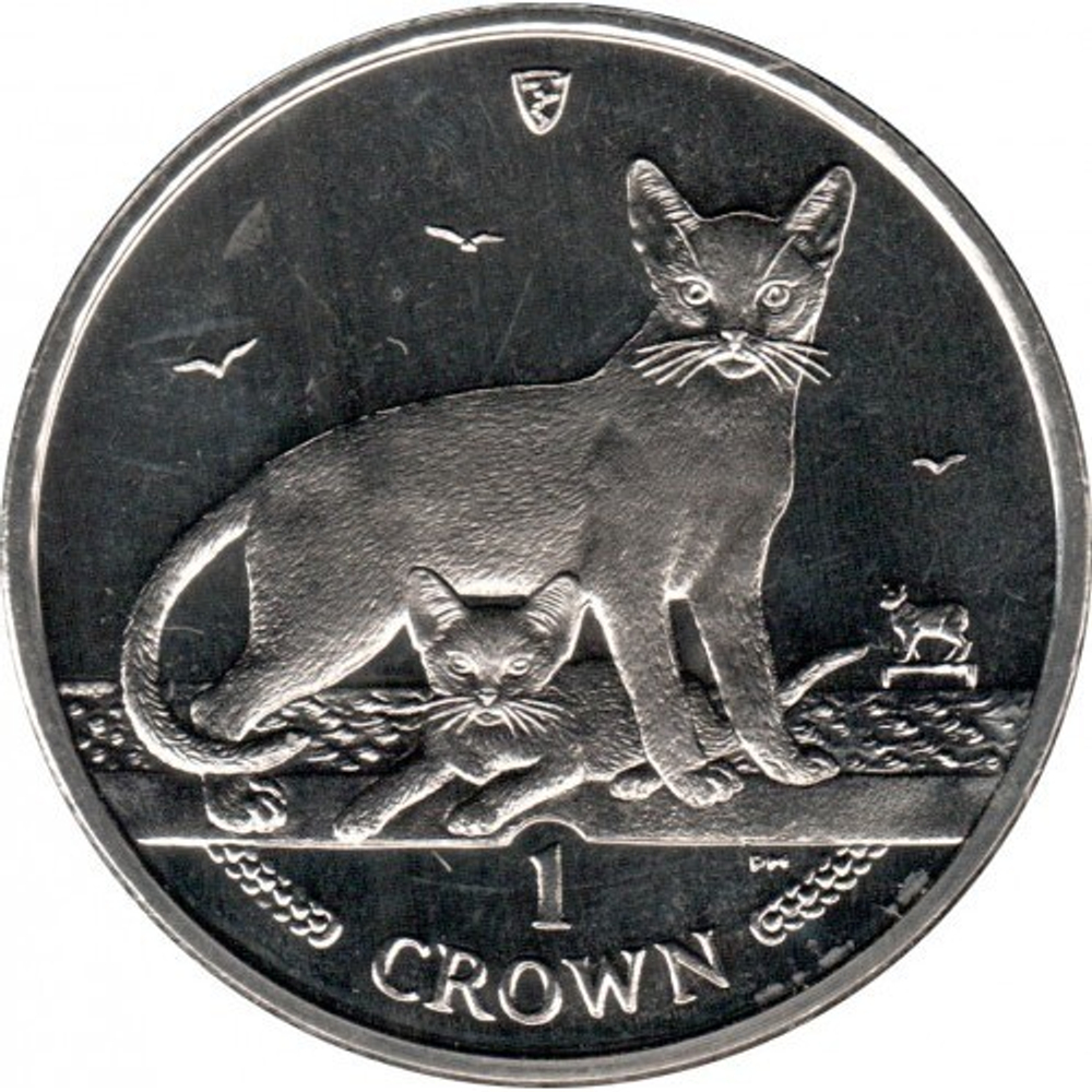 Абиссинская кошка