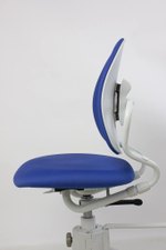 Ортопедическое кресло Duorest OPTIMA DR-289SG(D)