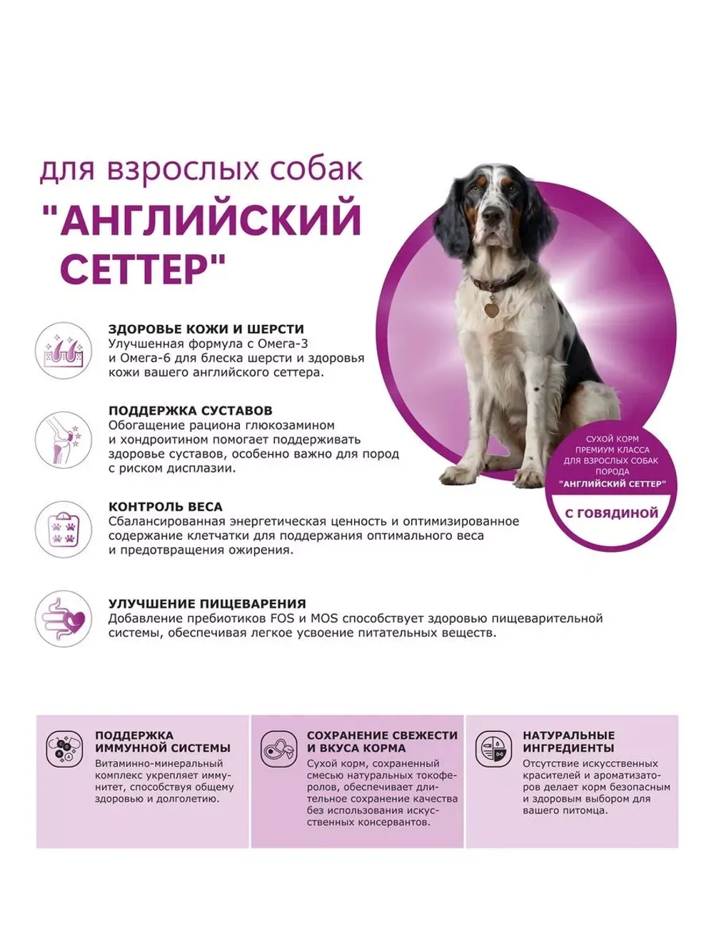 Сухой корм для собак Английский сеттер, говядина, 12кг