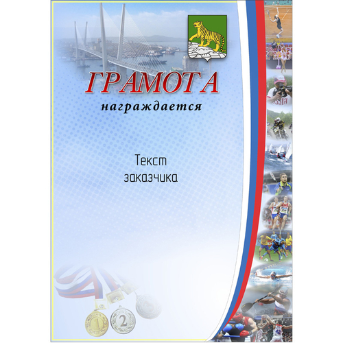 PNDiploma-009 с текстом