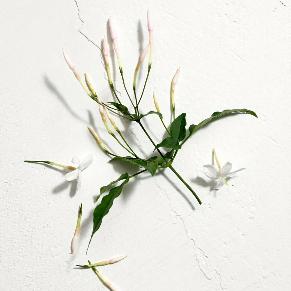 Jil Sander Sun Туалетная вода для женщин