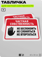 Табличка для частной территории "Частная собственность", на дом, для участка, организаций, предупреждающая, 40х30 см, Silver Plane x Айдентика Технолоджи
