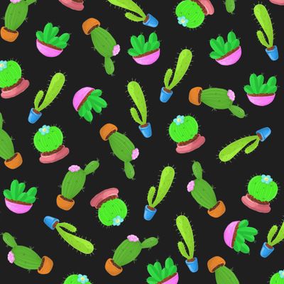 Кактусы на черном