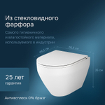 Унитаз AM.PM Spirit V2.0 FlashClean C701700MWSC подвесной Белый матовый с сиденьем микролифт