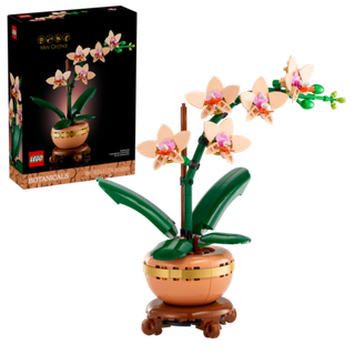 Конструктор Лего Ботаникалс Мини‑орхидея | LEGO Botanicals Mini Orchid 10343 — 274 детали (18+)