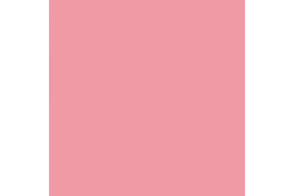 Фон пластиковый FST 100х200 розовый матовый