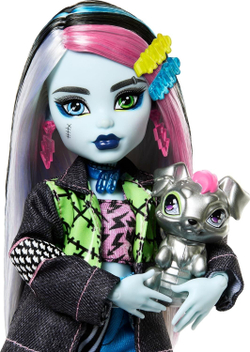 Кукла Монстр Хай Фрэнки Базовая G3 / Monster high Frankie