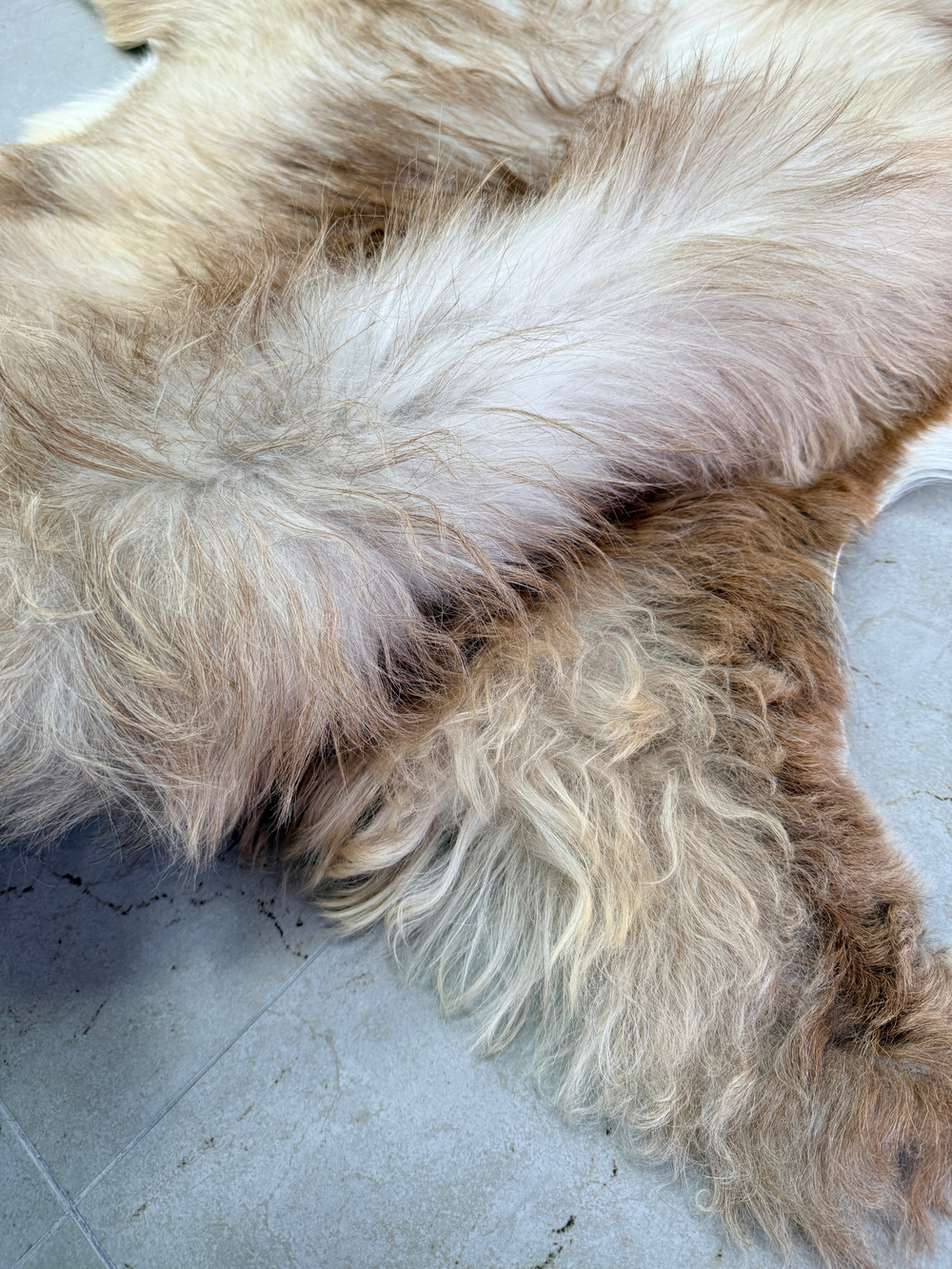 Шкура коврик меховой прикроватный овчина, 120х65 см.