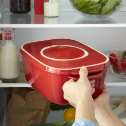 Емкость для хранения сыра Emile Henry Burgundy, 3.12 л