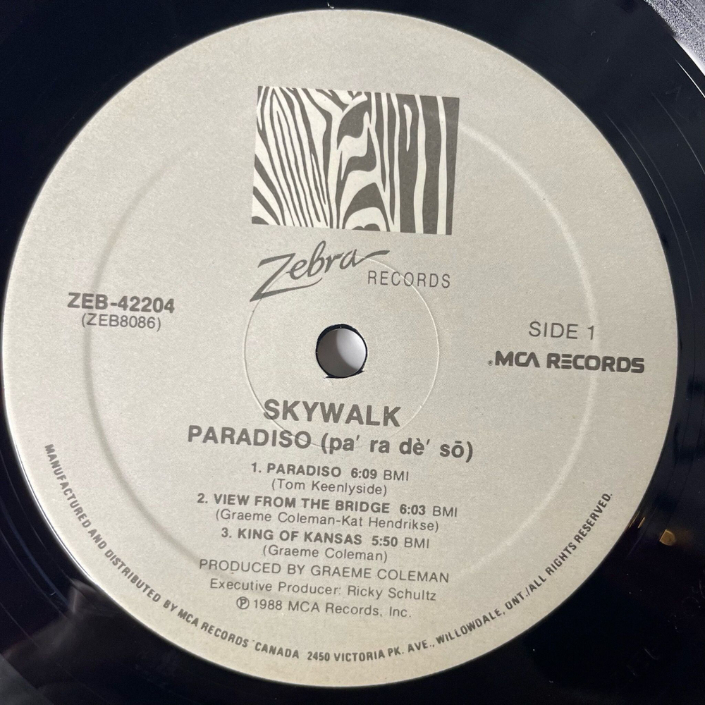 Винтажная виниловая пластинка LP Skywalk Paradiso (Canada 1988)