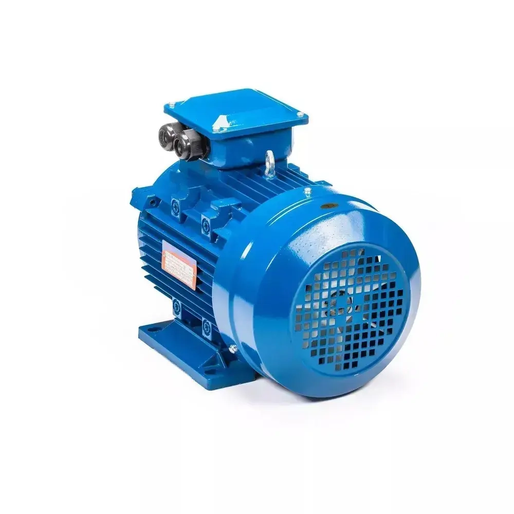 Электродвигатель трехфазный 5АИ 100 S2 IM 1081 4 кВт/3000 об.мин