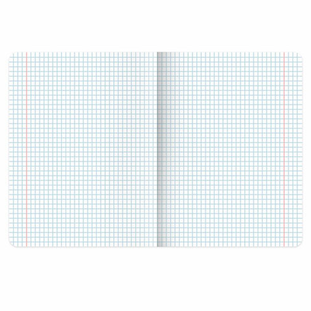 Тетради предметные, КОМПЛЕКТ 13 ПРЕДМЕТОВ, 48 л., SoftTouch, BRAUBERG "PEACEFUL", 405182