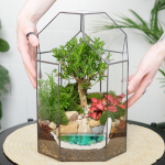 Готовый флорариум бонсай Самшит Бонсариум с озером
