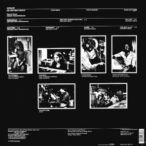 Pat Metheny Group / Offramp (LP)