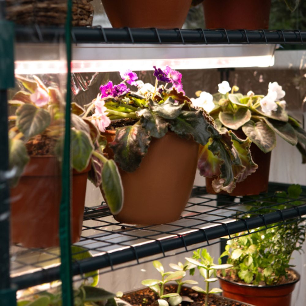 Теплица GREEN APPLE GA-House-4 со светильниками в комплекте 4 яруса 1250х690х300 мм