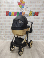 Коляска модульная Adamex Chantal Star Collection Star 102