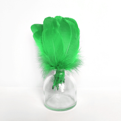 Гусиные перья салатовые скругленные 20шт.