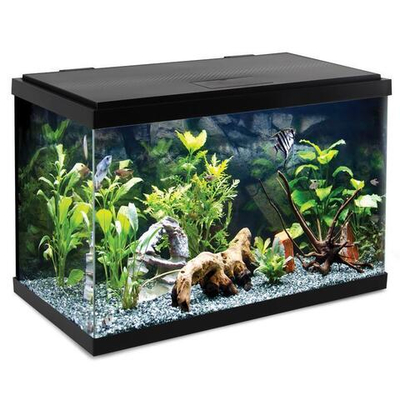 Аквариум Nimbus, черный, 56,7л, 593*308*366мм, Laguna AQUA