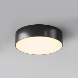 Уличный потолочный светильник Outdoor O431CL-L30B3K