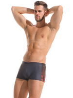 Мужские пляжные боксеры с брендированной вставкой сбоку (Размер: XL) (Цвет: серый)