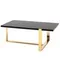 Журнальный столик Tob 109х66 см, черный мрамор, золото