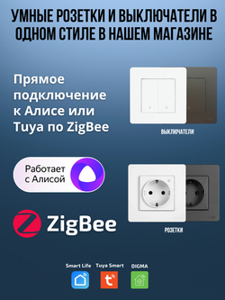 Двухместная рамка для умного выключателя 2-постовая Moes