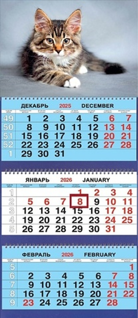 Календарь Трио 310*690мм на 2026г. Животные. Котёнок