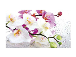 Нью йорк фотопечать стол обеденный раздвижной  со стеклянной поверхностью / орхидея 0195/бетон белый/черный 900*600 (1200)