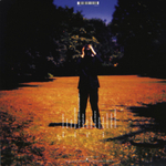 Steven Wilson / Insurgentes (2LP)