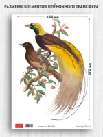 Трансфер для декупажа переводной рисунок для поверхностей новинка 009