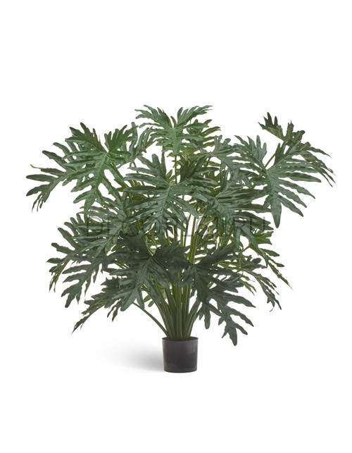 Филодендрон Селло куст в-125 см, д-110 см (30 листов) 2/2 10.51004N