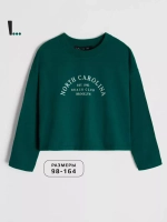 Лонгслив детский трикотажный демисезонный