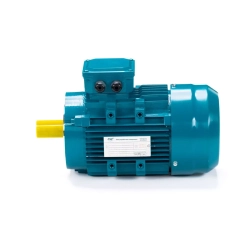 Электродвигатель ESQ 63 B2-SDN- 0,25/3000 IMB14