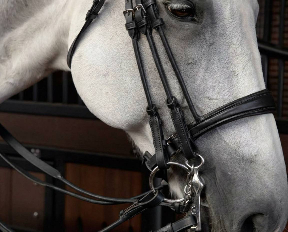 Оголовье мундштучное c дутыми ремнями