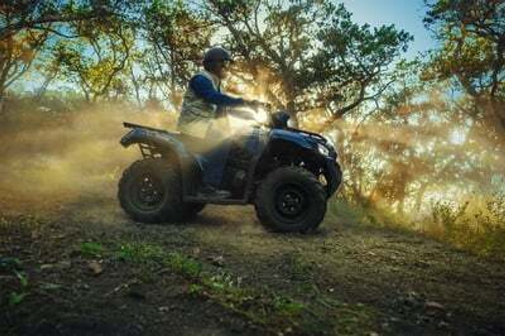 Квадроцикл Kawasaki Brute Force 450 4x4 (2025)