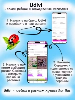 Фигурка яйца писанки