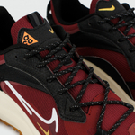 кроссовки Nike ACG Mountain Fly 2 Low Gtx Red / White