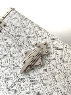 Goyard Cassette Trunk Bag